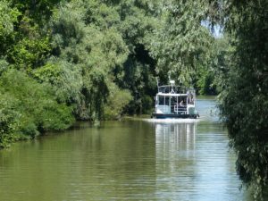 Schifffahrt auf dem Donaudelta